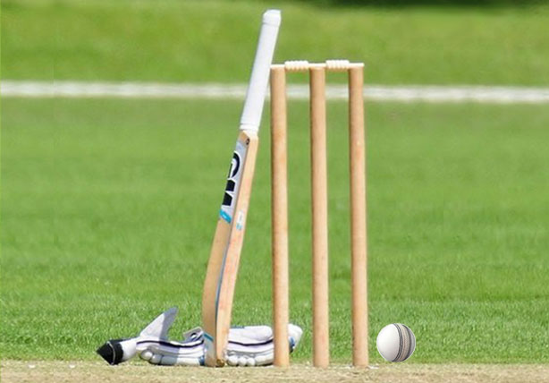 Cricket Party
