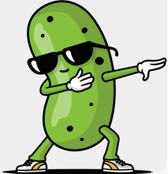 Garam Pickles